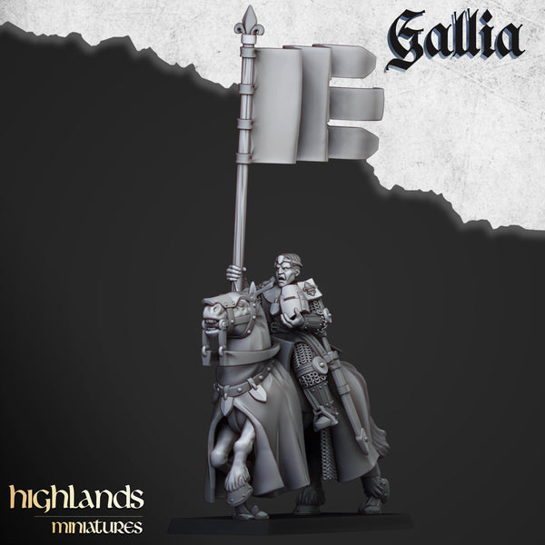 Young Knights of Gallia unit  by Highlands Miniatures