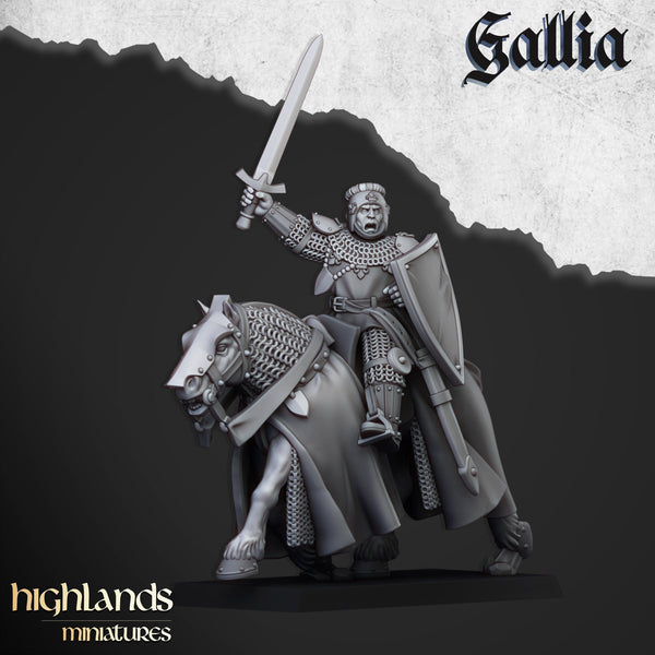 Young Knights of Gallia unit  by Highlands Miniatures