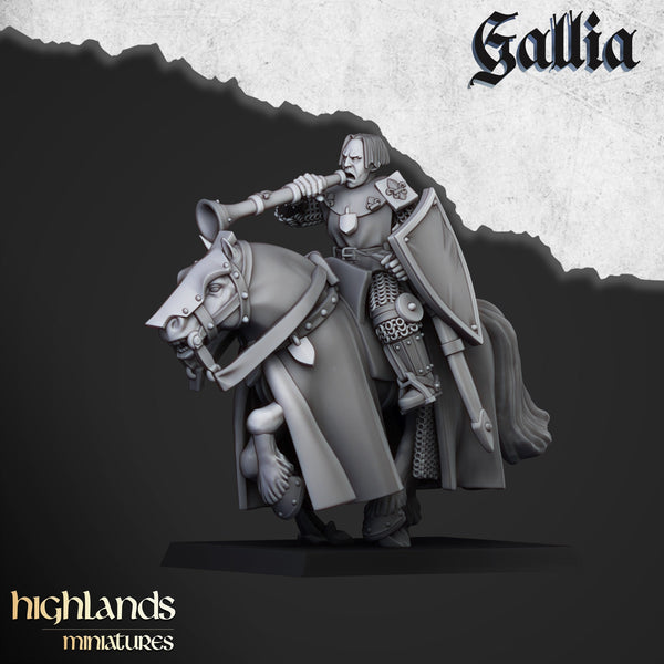 Young Knights of Gallia unit  by Highlands Miniatures