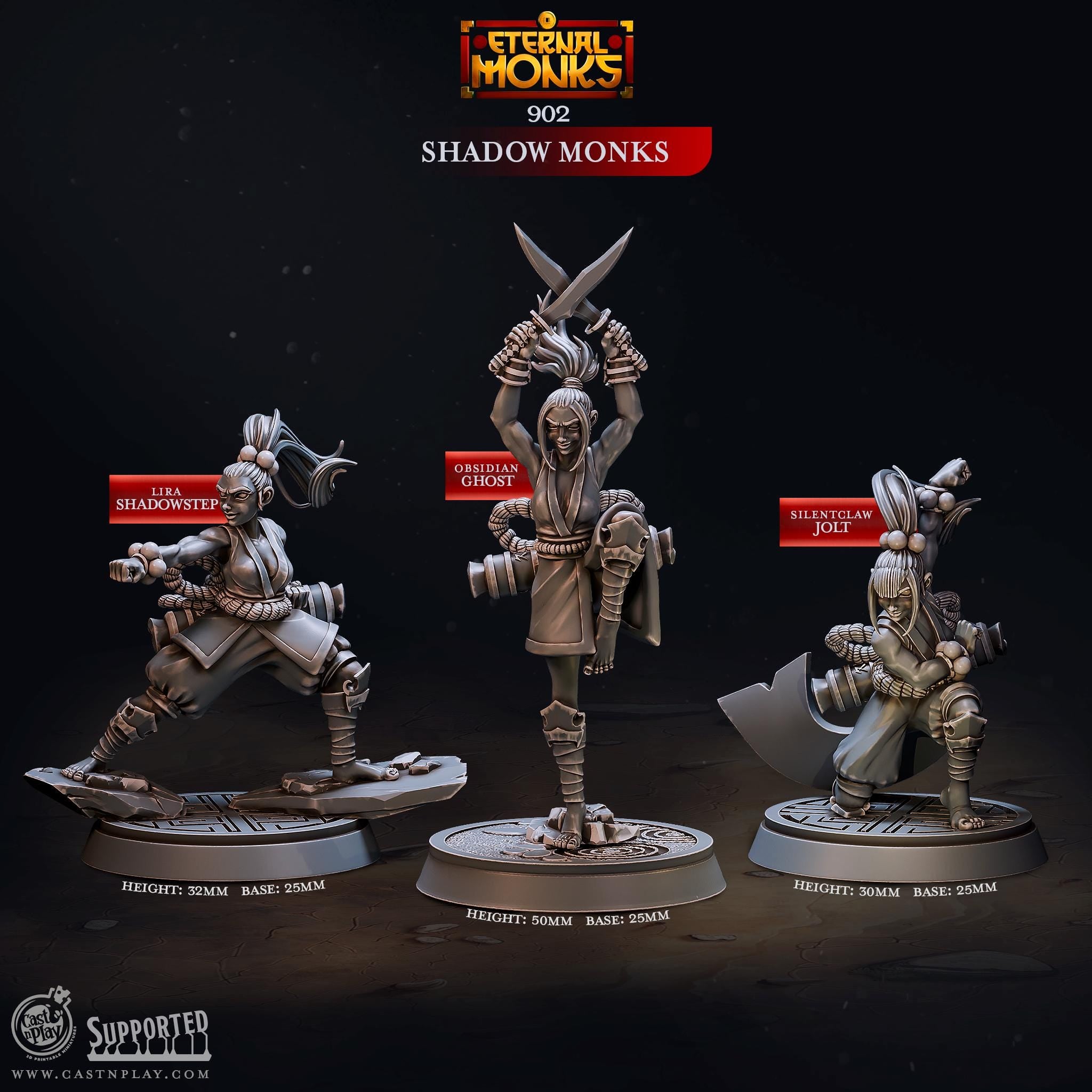 Shadow Monks by Cast N Play (Eternal Monks)