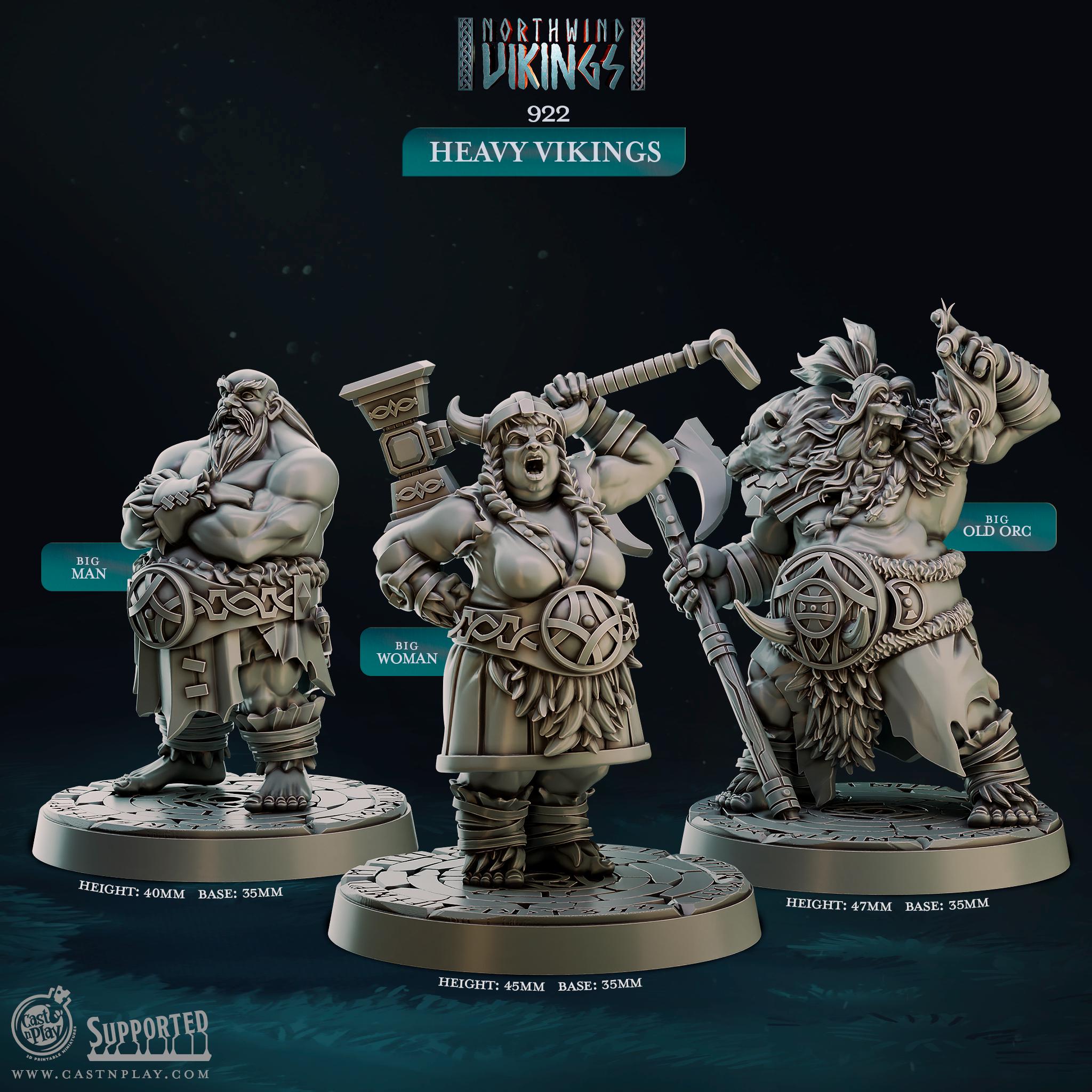 Heavy Vikings Warriors by Cast N Play (Northwind Vikings)