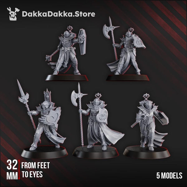 Maidens of Praesidium Squad - 5 Models (Pre assembled squad) by DakkaDakka