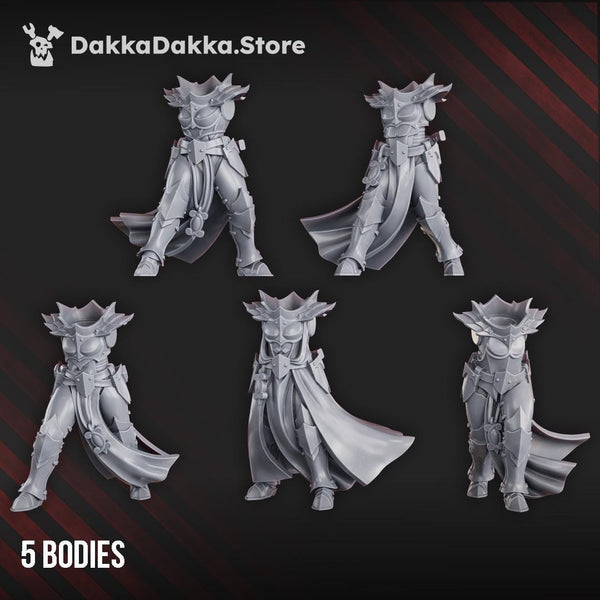 Maidens of Praesidium Squad - 5 Models (Build kit) by DakkaDakka