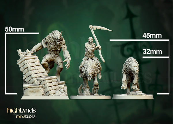 Transilvanya the Fallen Realm - Dire Wolves unit  by Highlands Miniatures