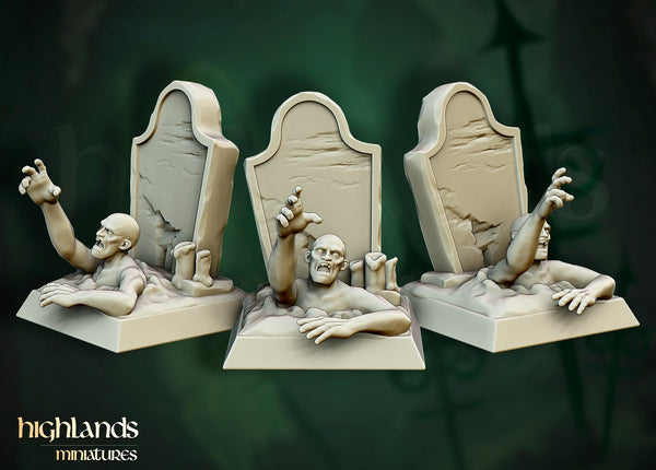 Transilvanya the Fallen Realm - Undead Zombie Unit by Highlands Miniatures