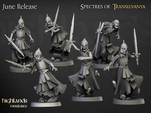 Spectres of Transilvanya - Wraith Unit by Highlands Miniatures