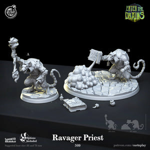 Ravager priest by Cast N Play (Enter the Drains)