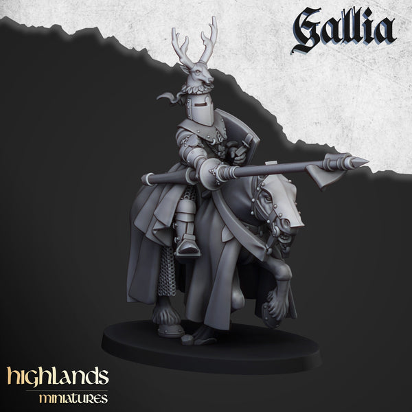 Gallia Knights  unit  by Highlands Miniatures