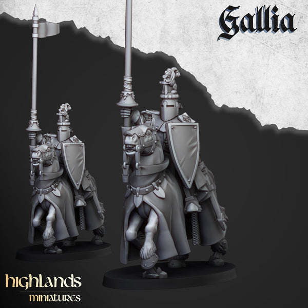 Gallia Knights  unit  by Highlands Miniatures