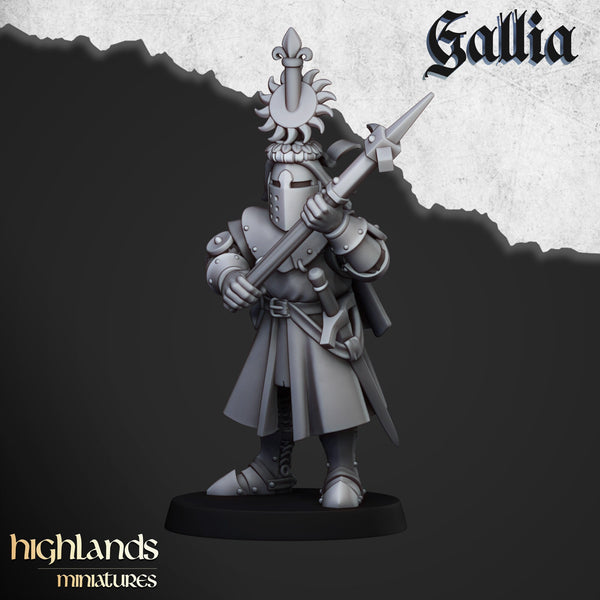 Knights of Gallia on foot at Arms by Highlands Miniatures