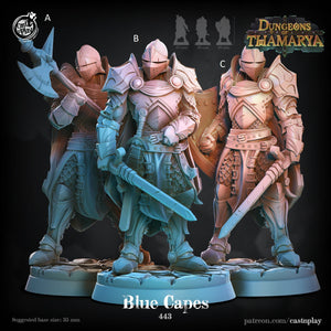Blue Capes  by Cast N Play (Dungeons of Thamarya)