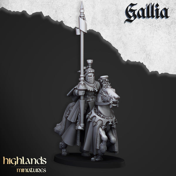 Royal Knights of Gallia  unit  by Highlands Miniatures