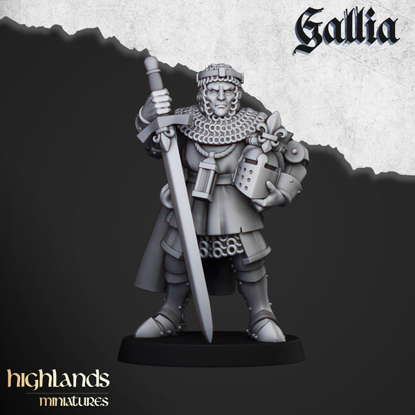Knights of Gallia on foot at Arms by Highlands Miniatures