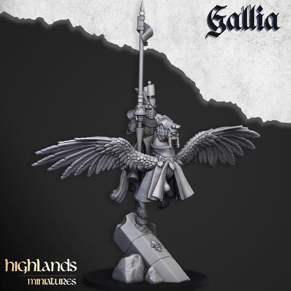 Gallia Knights on Pegasus by Highlands Miniatures