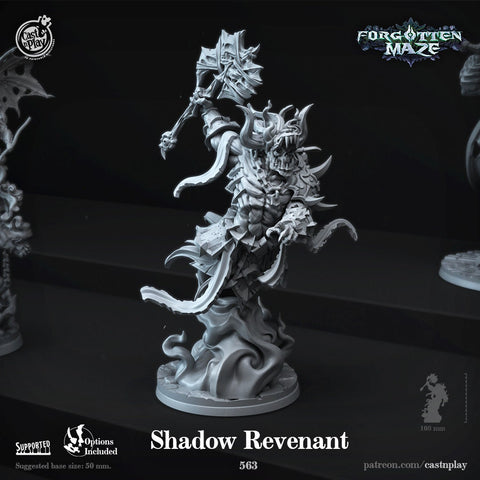 Shadow Revenant by Cast N Play (Forgotten Maze)